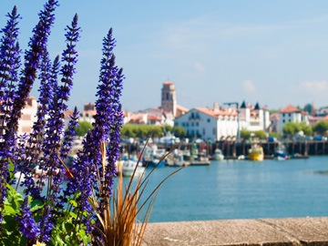 Séminaire à Saint-Jean-de-Luz